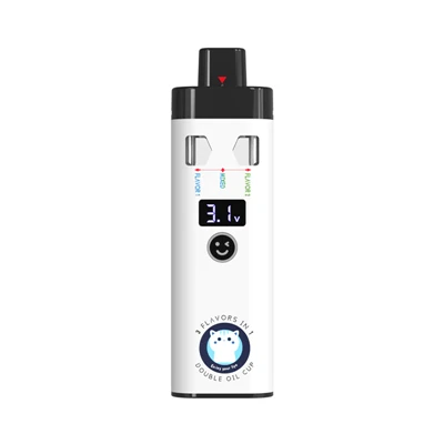 Vape 2ml Oil Pen 1ml Recharge Elegant Design Live Resin Disposable Vape
